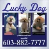 Lucky Dog Grooming Salon, New Hampshire, Nashua