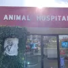 Animal Hospital in Fairfield, California, Fairfield