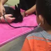 Cypress Lakes Animal Hospital, Texas, Cypress