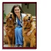 Farrell Animal Hospital, Texas, Arlington