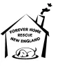 Forever Home Rescue New England, Massachusetts, Medfield