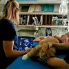 Bluebonnet Riverside Vet Clinic, Texas, Austin