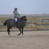 Eden's Aspens Horsemanship, Colorado, Longmont