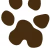 Pawsitive Attention Pet Services, California, Rancho Cordova