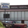 Normandy Animal Hospital, Missouri, Saint Louis