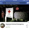 Haywood Animal Emergency, North Carolina, Waynesville