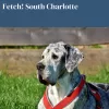 Fetch Pet Care - South Charlotte, North Carolina, Charlotte