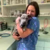 4 Paws Pet Hospital, California, Bakersfield