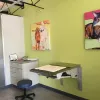 Advanced Veterinary Dentistry, New Mexico, Albuquerque