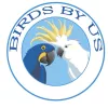 Birds By Us, New Jersey, East Brunswick