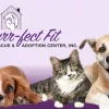 A Purr-fect Fit Animal Rescue & Adoption Center, New York, Williamsville