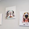 Macon Pets Resort and Spa, Georgia, Macon