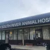 Greater South River Animal Hospital, Maryland, Edgewater