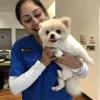 Waipahu Waikele Pet Hospital, Hawaii, Waipahu