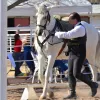 Debacs Equestrian Center, New Mexico, El Paso