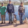 Clover Canine, Arizona, Phoenix