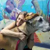 Pasco Veterinary Medical Center, Florida, Lutz