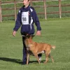 Performance K9 Training, California, Carlsbad