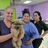 Helga's Pet Grooming Plus, Texas, San Antonio