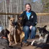 Dog Training Camp USA, North Carolina, Raleigh