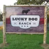 Lucky Dog Daycare Ranch, Texas, Denton
