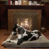Malibu Coast Animal Hospital, California, Malibu