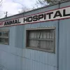 Peachtree Veterinary Hospital, North Carolina, Murphy