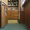 Cat Hospital of Dallas, Texas, Dallas
