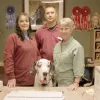 Academy Boarding Kennels & Grooming Salon, New Mexico, Albuquerque