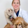 Advanced Veterinary Care, Connecticut, Farmington
