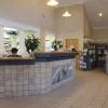 WNC Veterinary Hospital, Tennessee, Asheville