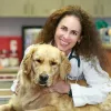 Traveling Tails Veterinary Clinic, Texas, San Antonio