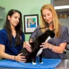 Jupiter Animal Hospital, Florida, Jupiter