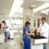 Animal Medical Care, Georgia, Gainesville