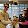 Parkway Veterinary Clinic, Michigan, Plymouth