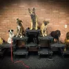Double H Canine Training Academy, Indiana, Louisville