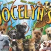 Jocelyn's Puppies & Pet Supplies, Maryland, Hanover