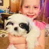 Little Puppies Online, Ohio, Mount Vernon