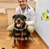 Companion Animal Hospital, California, Las Vegas