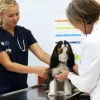 South Beach Animal Hospital, Florida, Miami Beach