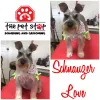 The Pet Stop, Texas, Killeen
