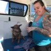 Awesome Doggies Mobile Pet Grooming, California, San Diego