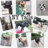 NY Tails, New York, New York