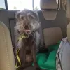 Coco-Park Animal Hospital, Florida, Coconut Creek