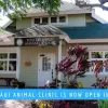 South Maui Animal Clinic, Hawaii, Kihei