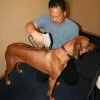 The Animal Chiropractor, California, Fremont