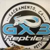 Gx3 Reptiles, California, Sacramento