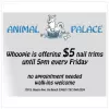 Animal Palace, North Carolina, Virginia Beach