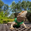 Granite Bay Veterinary Clinic, California, Granite Bay
