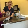 Cat Veterinary Clinic, Texas, Houston